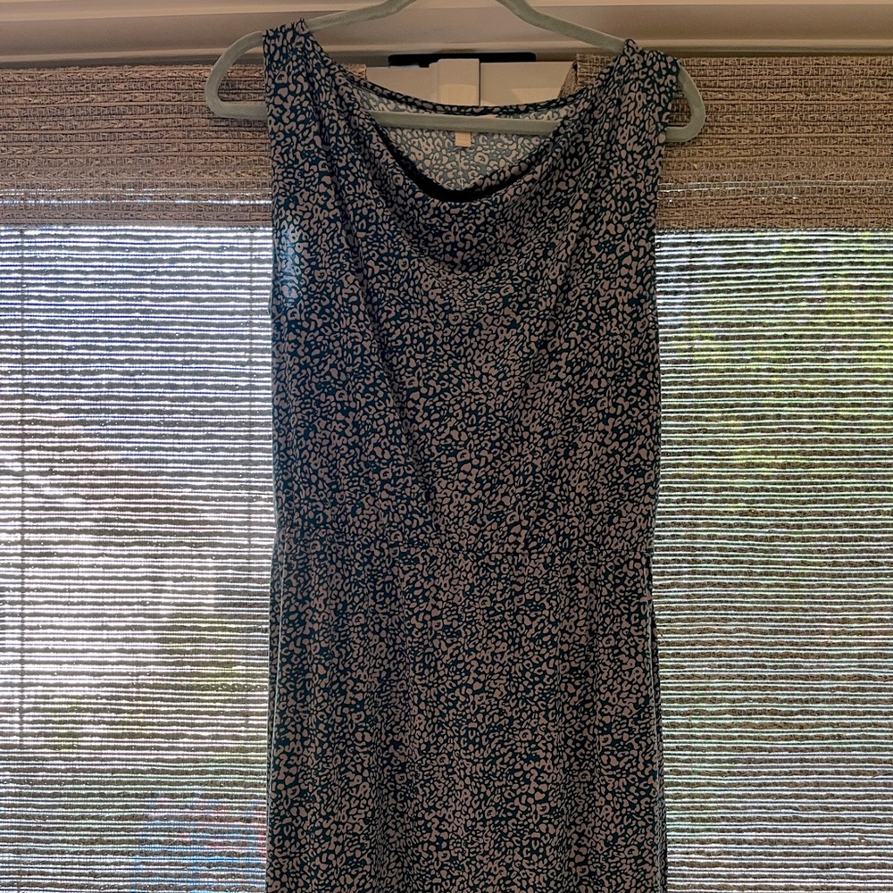 Sleeveless Banana Republic dress.